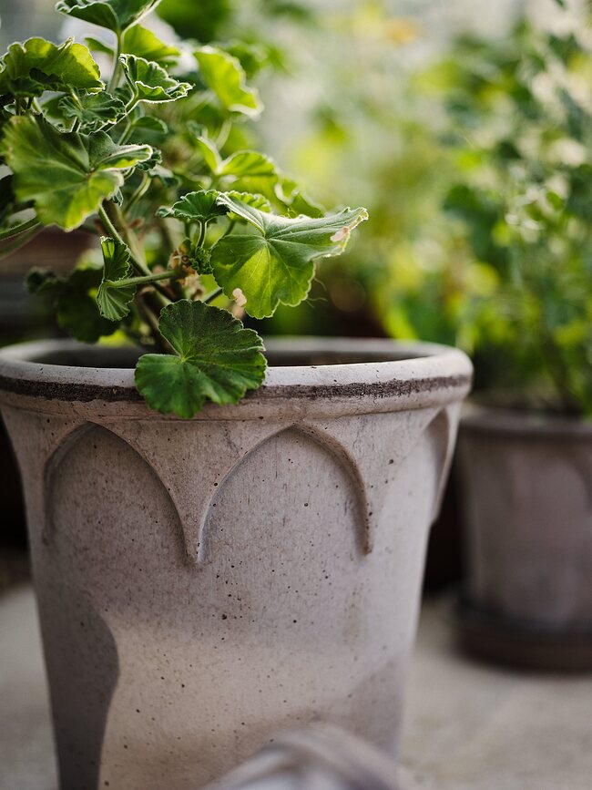 Elizabeth Pot de Fleurs avec soucoupe, 21 cm, gris