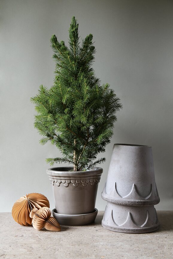 Elizabeth Pot de Fleurs avec soucoupe, 21 cm, gris