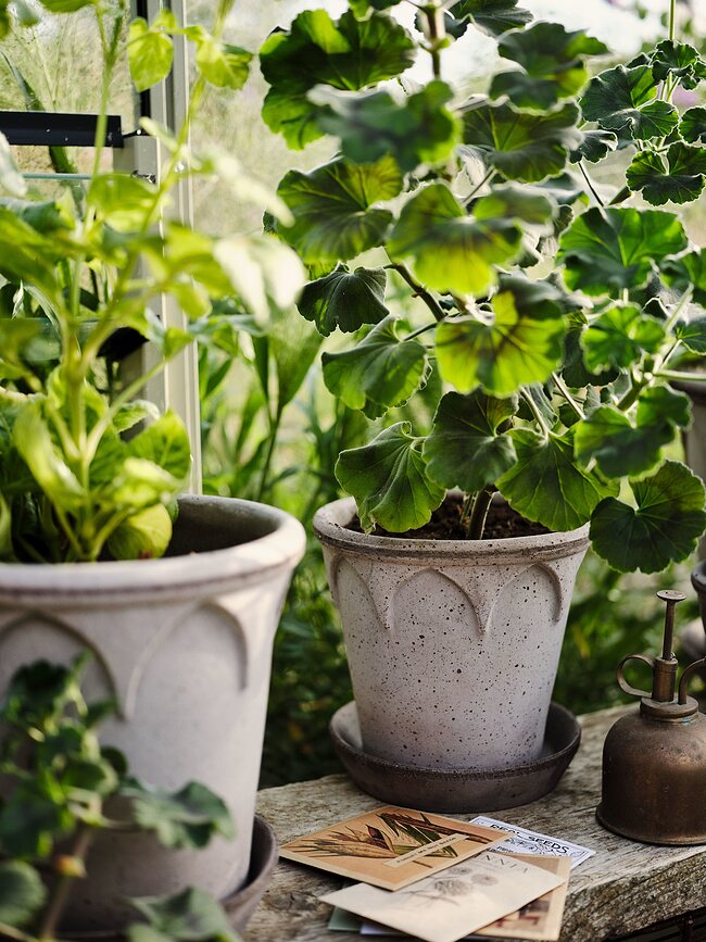 Elizabeth Pot de Fleurs avec soucoupe, 21 cm, gris