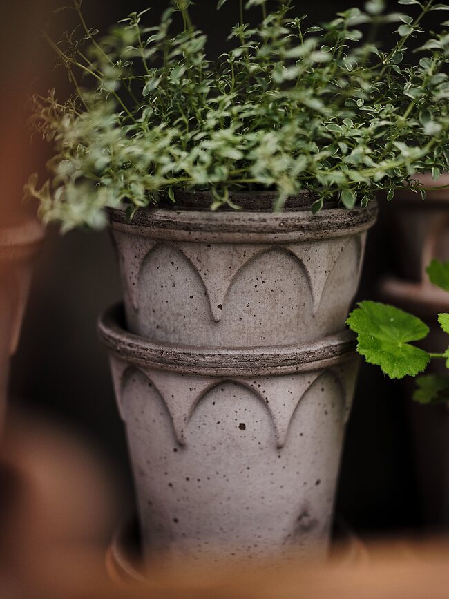 Elizabeth Pot de Fleurs avec soucoupe, 21 cm, gris