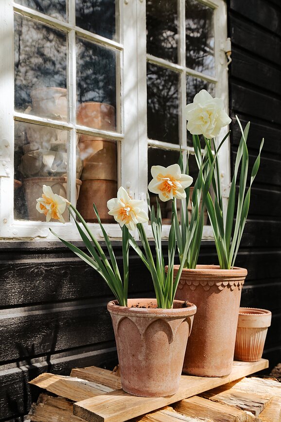 Elizabeth Tegla s podloškom 12 cm ružičasta