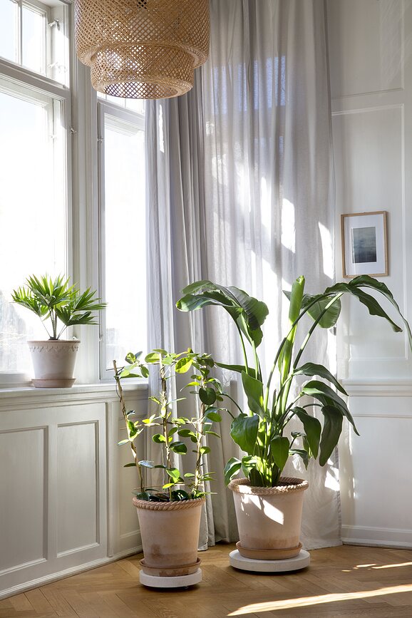 Emilia Cvetlični lonec s podstavkom, 25 cm, roza