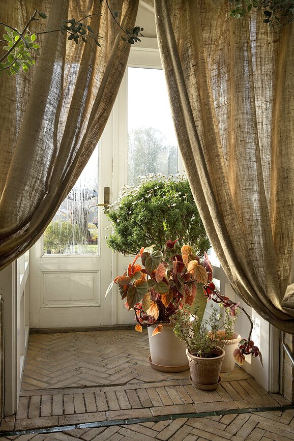 Emilia Cvetlični lonec s podstavkom, 25 cm, roza