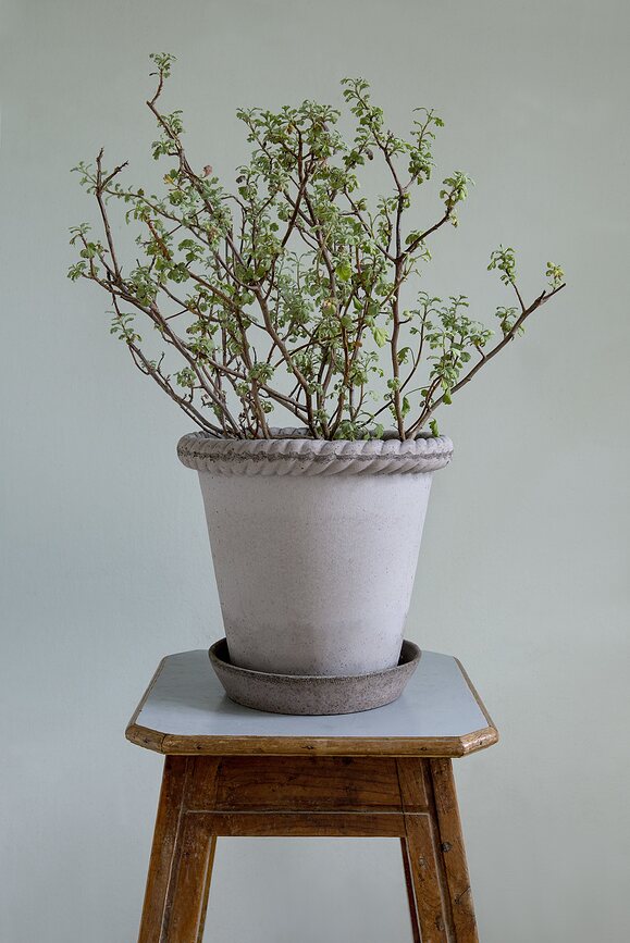 Emilia Lonček s podstavkom, 16 cm, siva