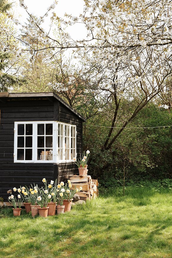 Emilia Γλάστρα με πιατάκι, 25 cm, ροζ