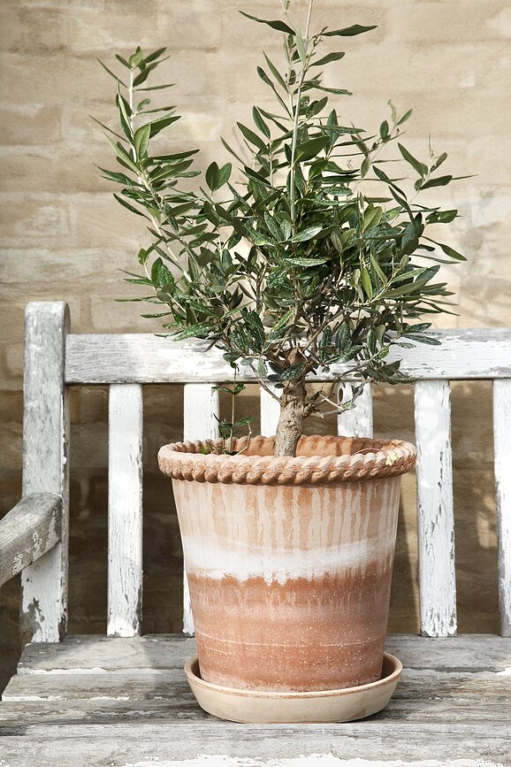 Emilia Pot de Fleurs avec soucoupe, 25 cm, rose