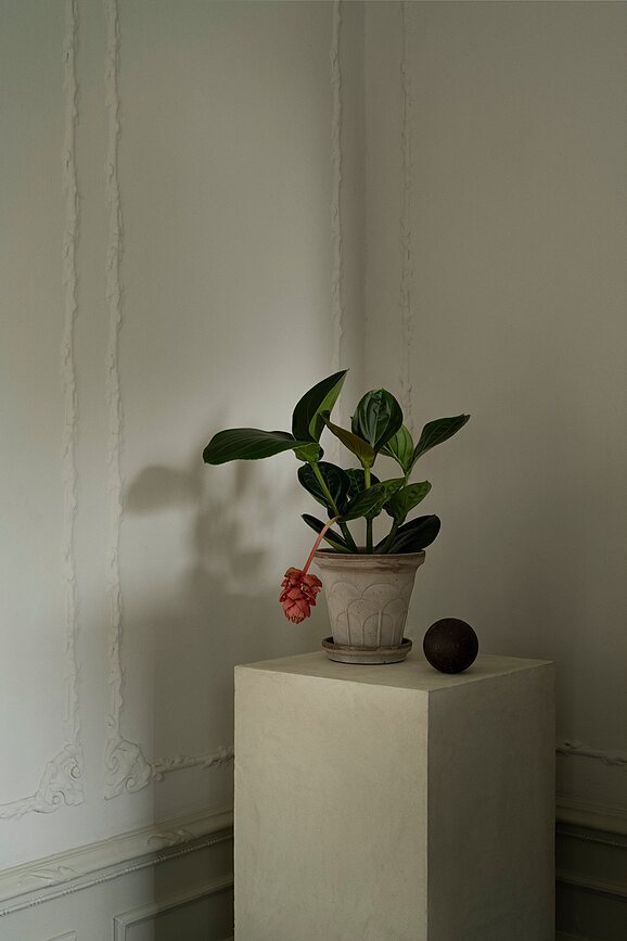 Fleur Pot de fleurs avec soucoupe, 21 cm, gris