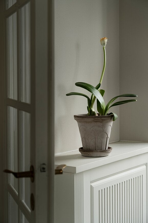 Fleur Tegla s podloškom 21 cm siva