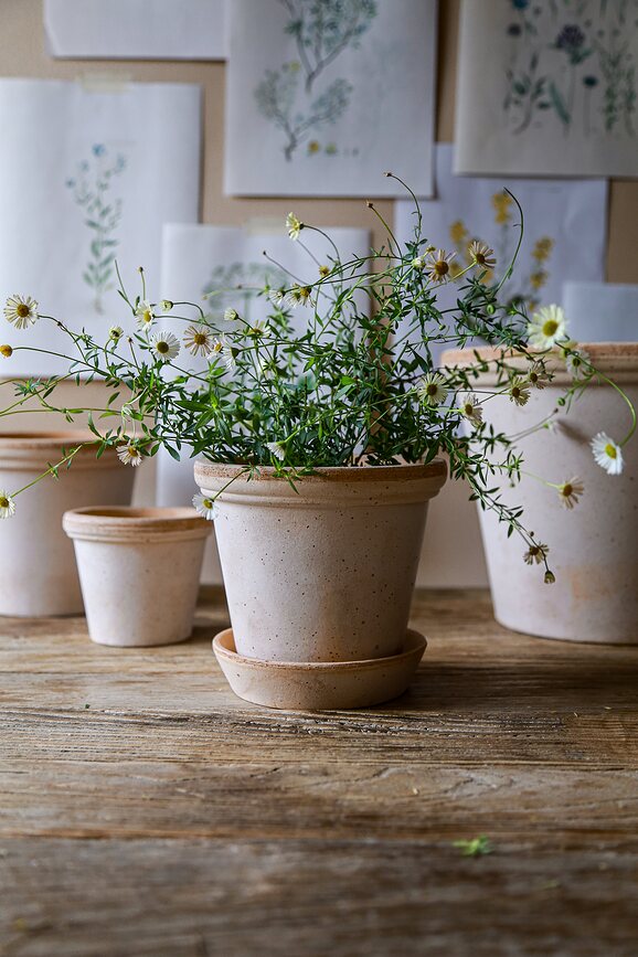 Flora Γλάστρα με πιατάκι, 14 cm, ροζ