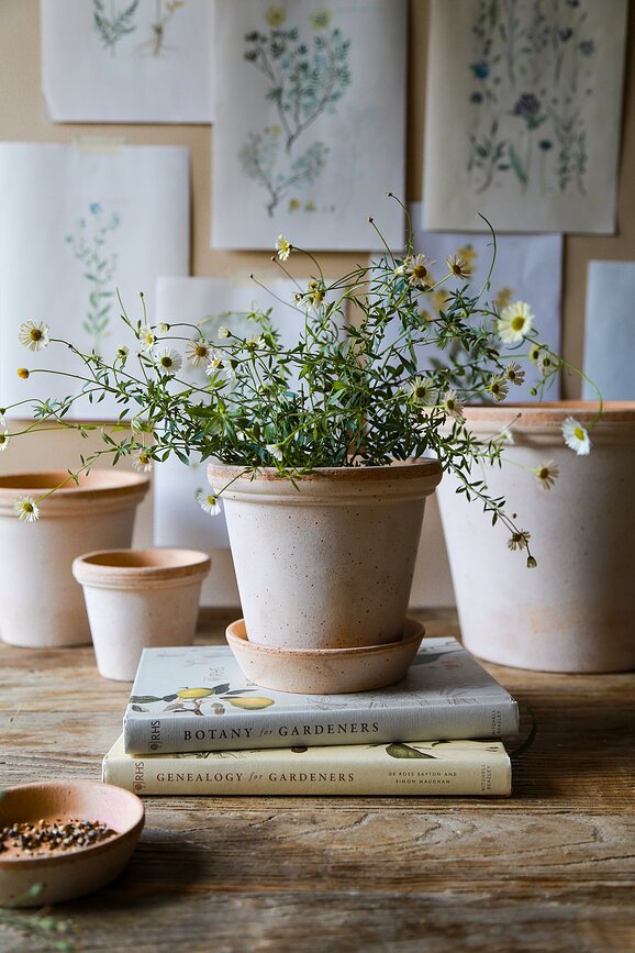Flora Pot de Fleurs avec soucoupe, 16 cm, rose