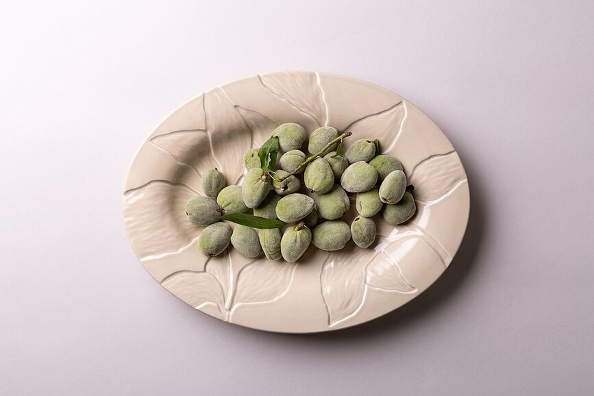 Florita Patera 27 x 35 cm bež