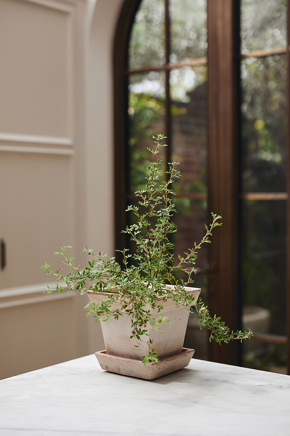 Gaia Pot de Fleurs avec soucoupe, 21 cm, rose