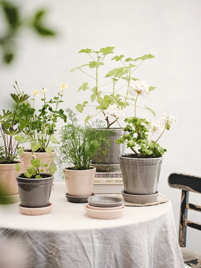 Helena Cvetlični lonec s podstavkom glaziran, 14 cm, roza