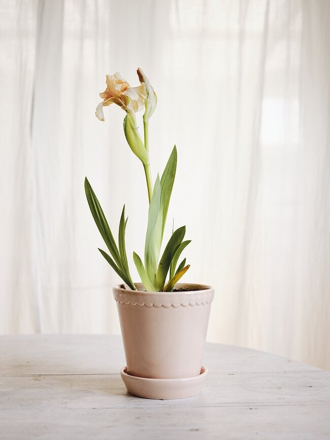 Helena Cvetlični lonec s podstavkom glaziran, 14 cm, roza