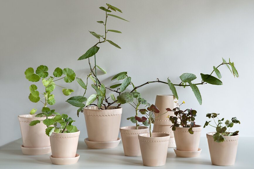 Helena Cvetlični lonec s podstavkom glaziran, 14 cm, roza