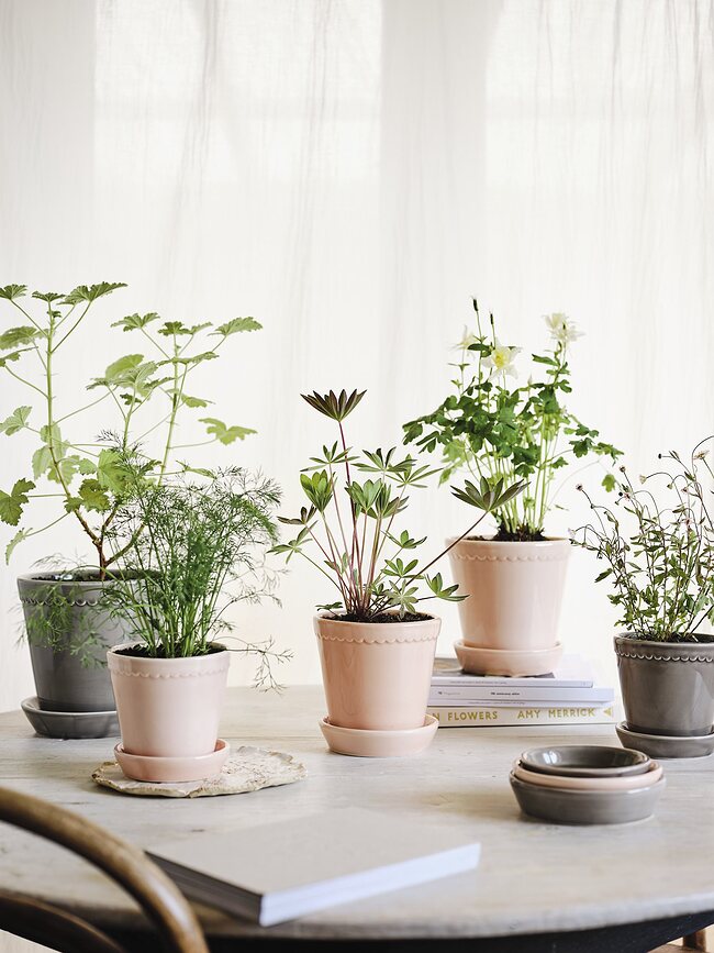 Helena Cvetlični lonec s podstavkom glaziran, 14 cm, roza