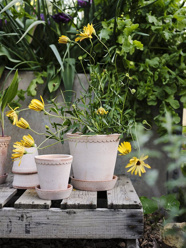 Helena Lonček s podstavkom, 12 cm, roza