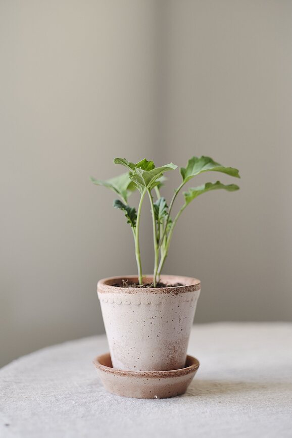 Helena Lonček s podstavkom, 12 cm, roza