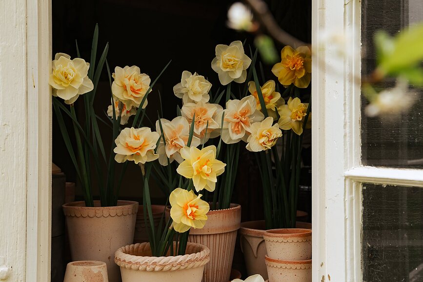 Helena Lonček s podstavkom, 12 cm, roza