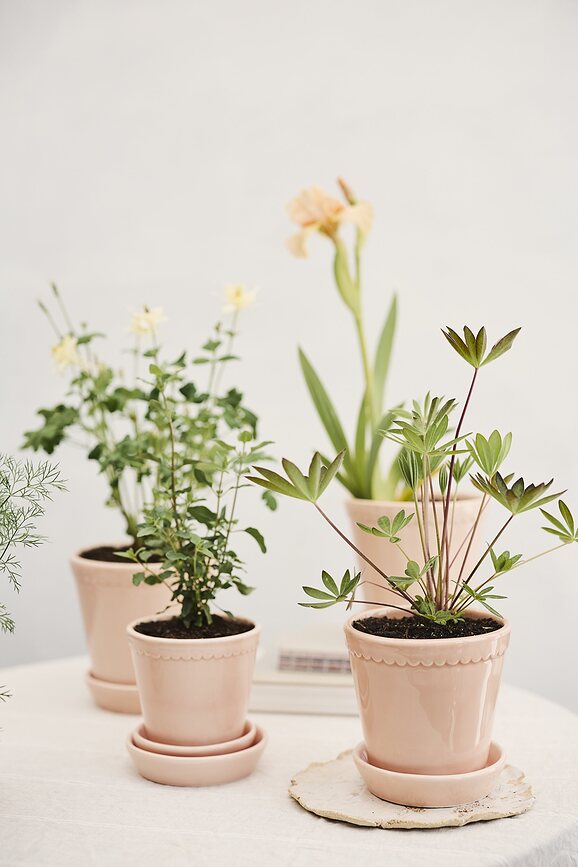 Helena Γλάστρα εφυαλωμένη, με πιατάκι, 14 εκ., ροζ