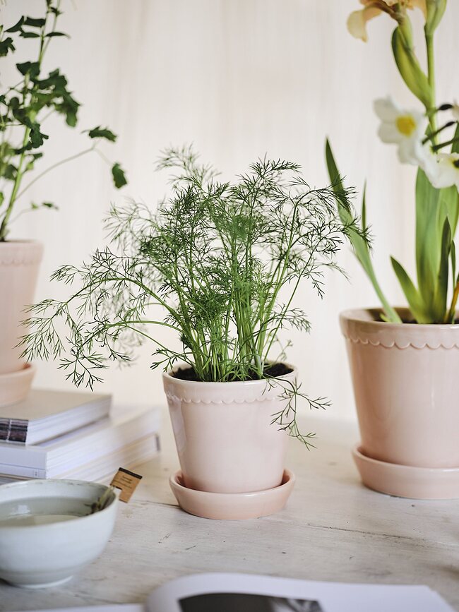 Helena Γλάστρα εφυαλωμένη, με πιατάκι, 14 εκ., ροζ