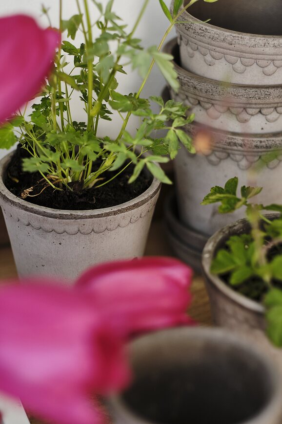 Helena Γλάστρα με πιατάκι, 16 cm, γκρι