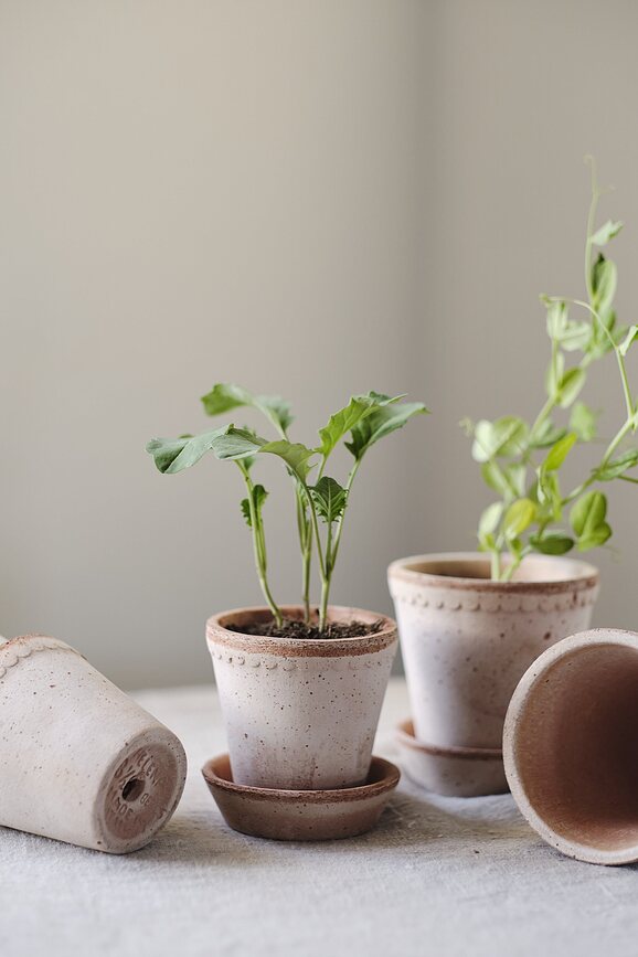 Helena Γλάστρα με πιατάκι, 12 εκ., ροζ