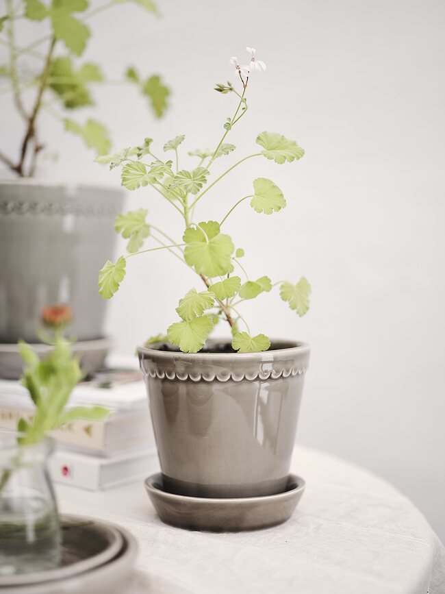 Helena Pot de Fleurs avec soucoupe, 18 cm, gris, émaillé