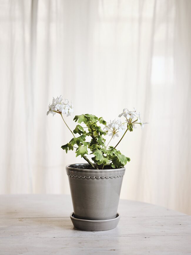 Helena Pot de Fleurs avec soucoupe, 18 cm, gris, émaillé