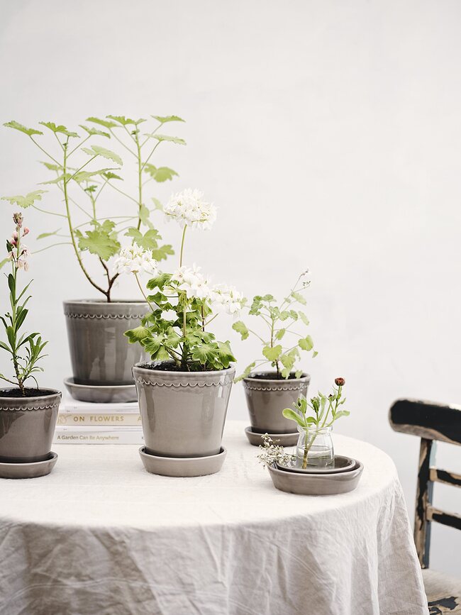 Helena Pot de Fleurs avec soucoupe, 18 cm, gris, émaillé