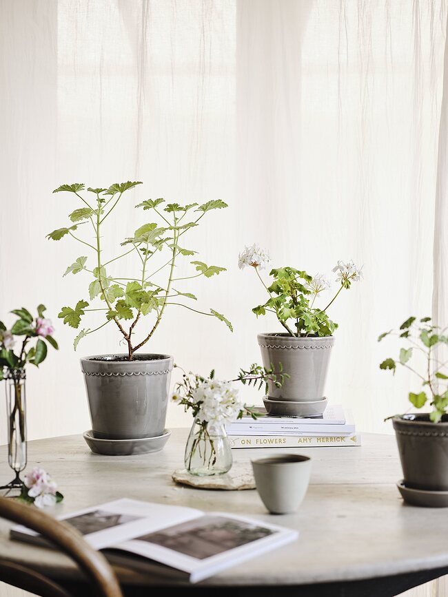 Helena Pot de Fleurs avec soucoupe, 18 cm, gris, émaillé