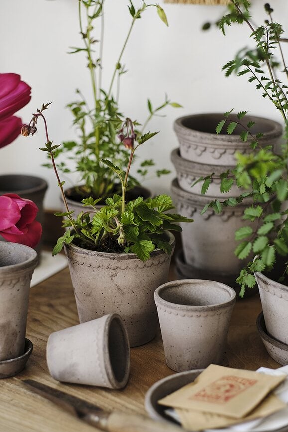 Helena Pot de Fleurs avec soucoupe, 12 cm, gris