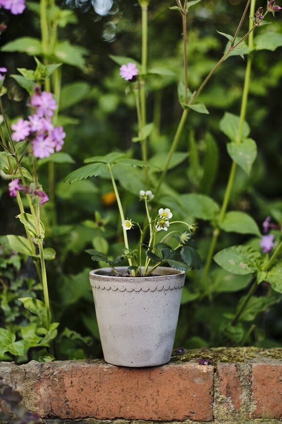 Helena Pot de Fleurs avec soucoupe, 12 cm, gris