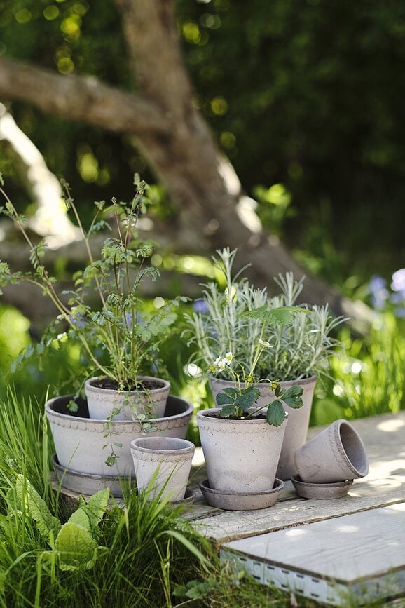 Helena Pot de Fleurs avec soucoupe, 12 cm, gris