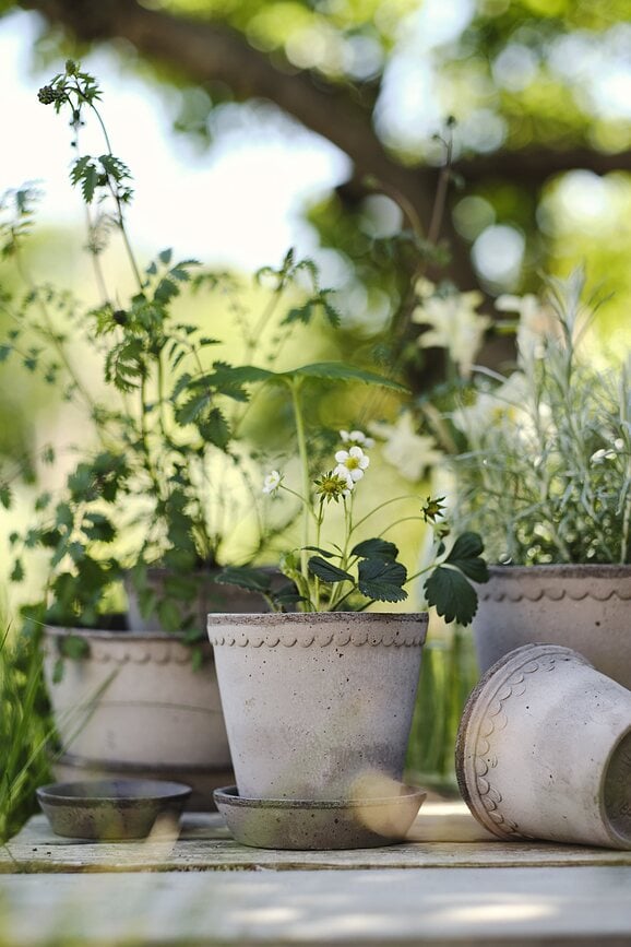 Helena Pot de Fleurs avec soucoupe, 12 cm, gris