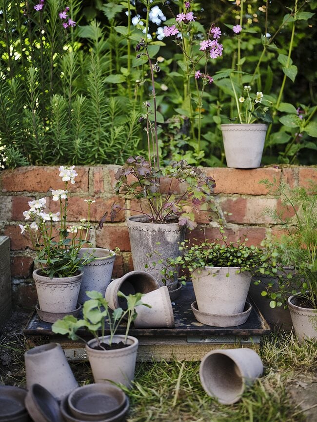 Helena Pot de Fleurs avec soucoupe, 12 cm, gris