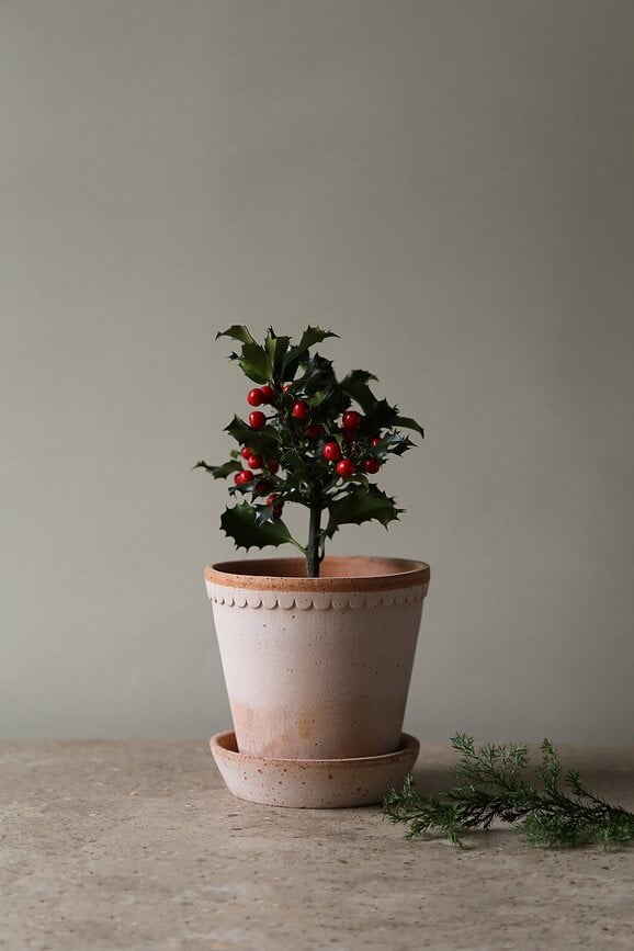 Helena Pot de Fleurs avec soucoupe, 12 cm, rose