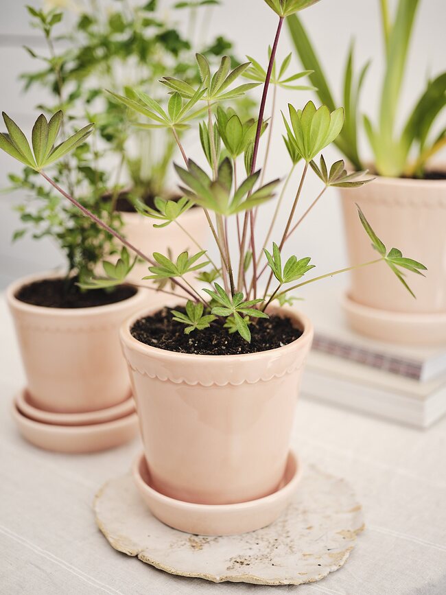 Helena Pot de Fleurs émaillé avec soucoupe, 14 cm, rose