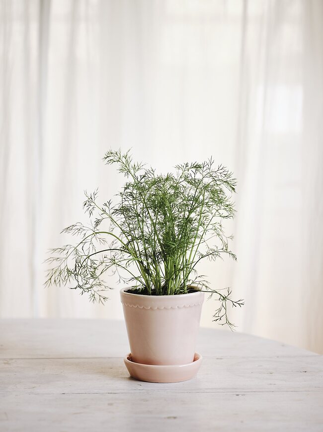Helena Pot de Fleurs émaillé avec soucoupe, 14 cm, rose