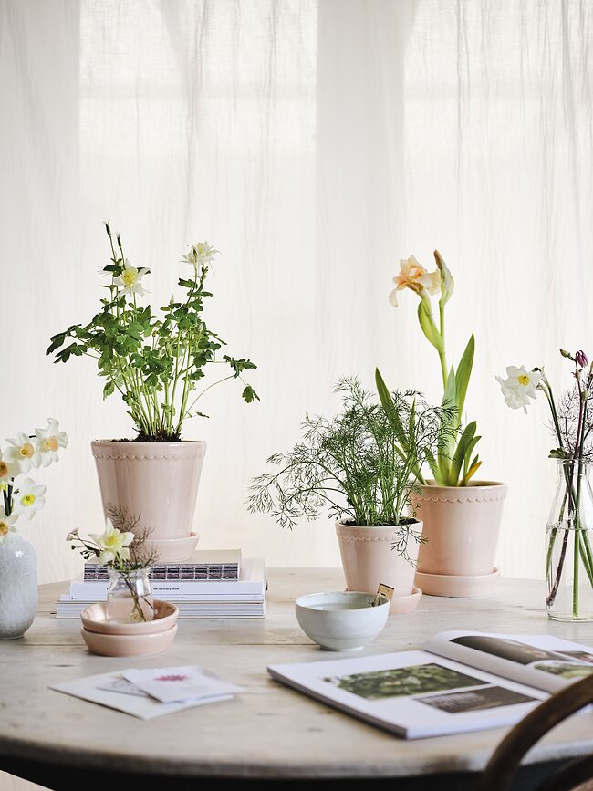 Helena Pot de Fleurs émaillé avec soucoupe, 14 cm, rose