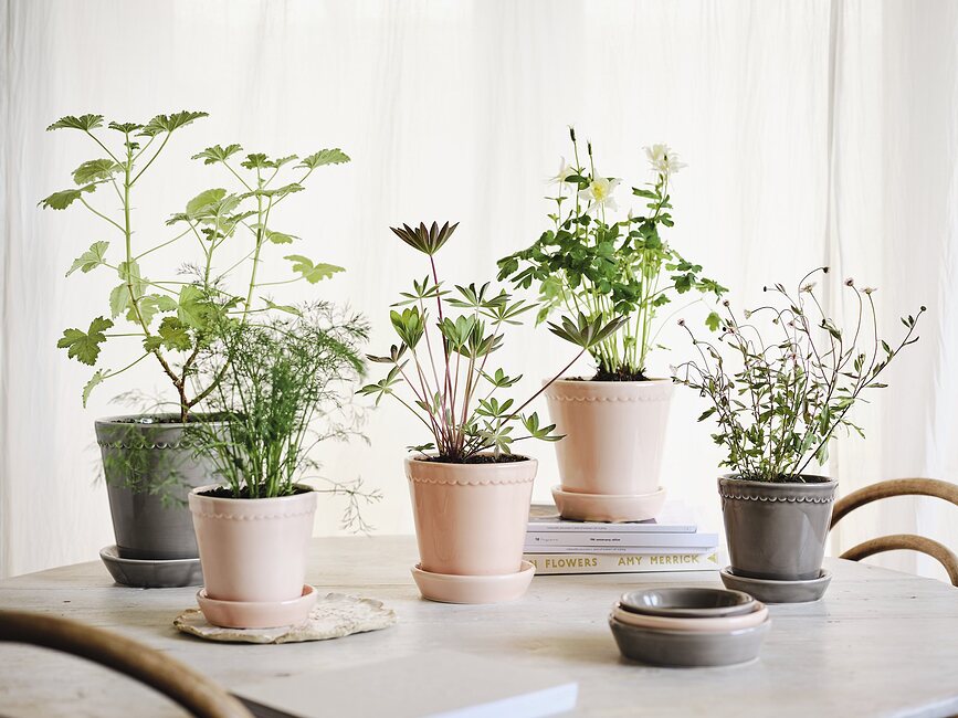 Helena Pot de Fleurs émaillé avec soucoupe, 14 cm, rose