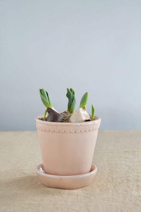 Helena Pot de Fleurs émaillé avec soucoupe, 14 cm, rose