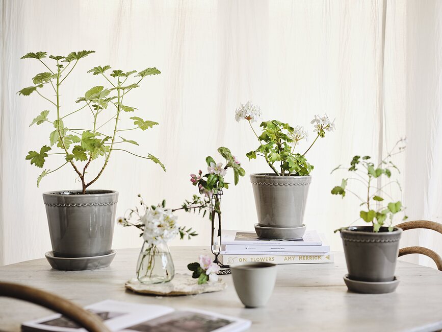 Helena Tegla glazirana s tanjurićem 18 cm siva