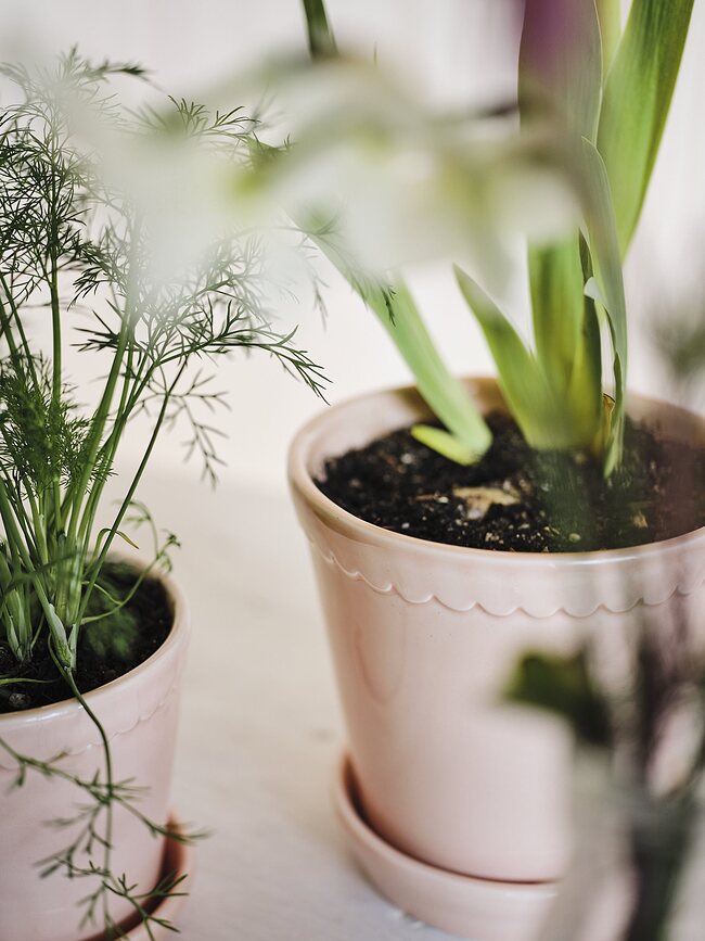 Helena Lončanica s podloškom glazirana ružičasta 14 cm