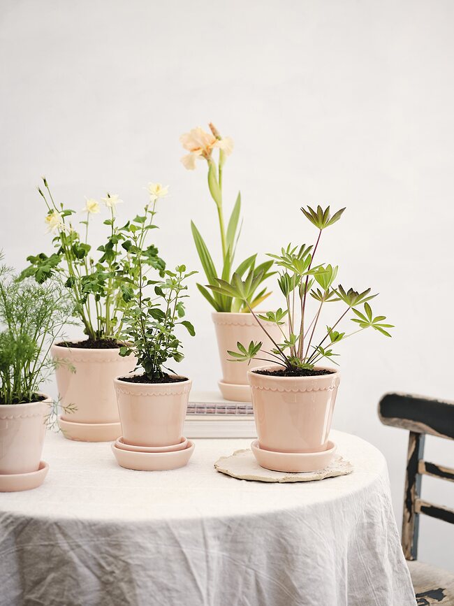 Helena Lončanica s podloškom glazirana ružičasta 14 cm