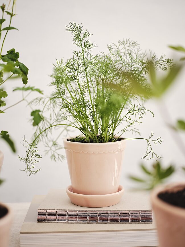 Helena Lončanica s podloškom glazirana ružičasta 14 cm