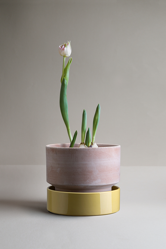 Hoff Πιατάκι Γλάστρας, 18 cm, κίτρινο, εφυαλωμένο