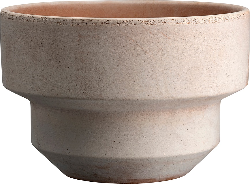 Hoff blomkruka låg 25 cm, rosa