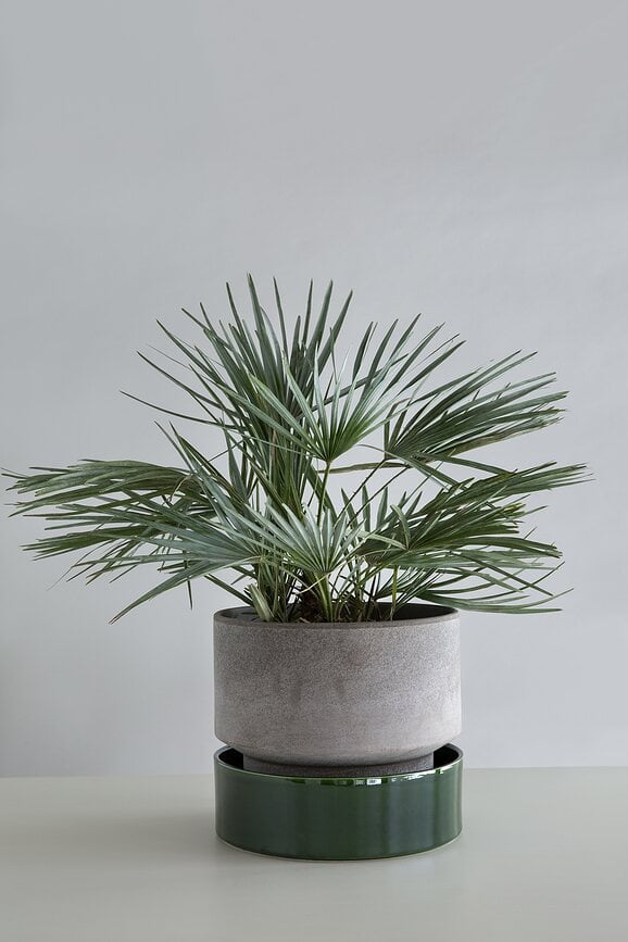 Hoff Pot de Fleurs, 8 cm, gris