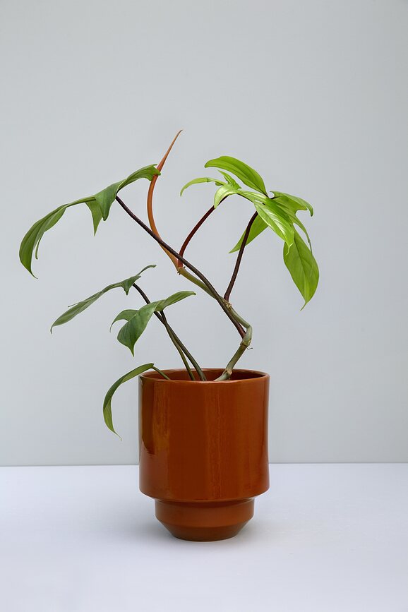 Hoff Κασπώ εφυαλωμένο, 18 cm, κόκκινο